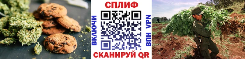 купить наркотики сайты  Иваново  Печенье с ТГК марихуана 