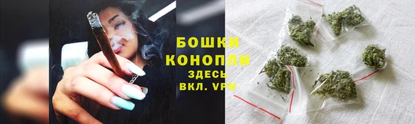 мескалин Новодвинск